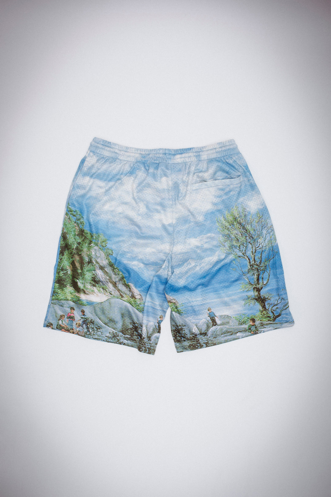 Landscape Mesh Short