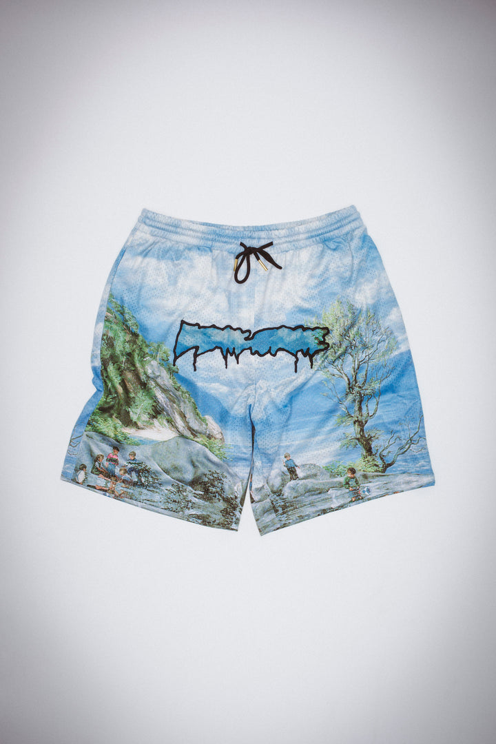 Landscape Mesh Short