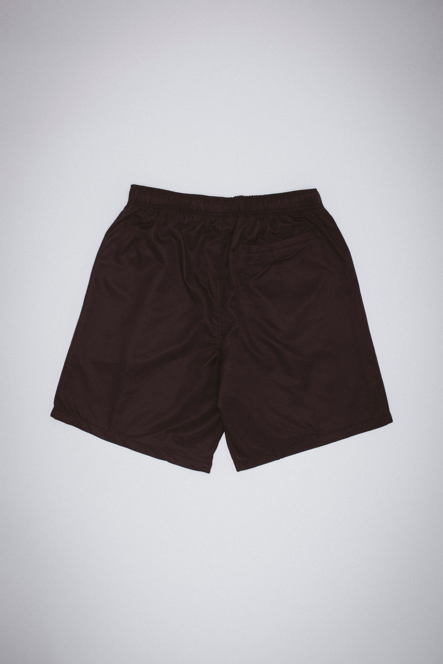 Water Acceptable Shorts