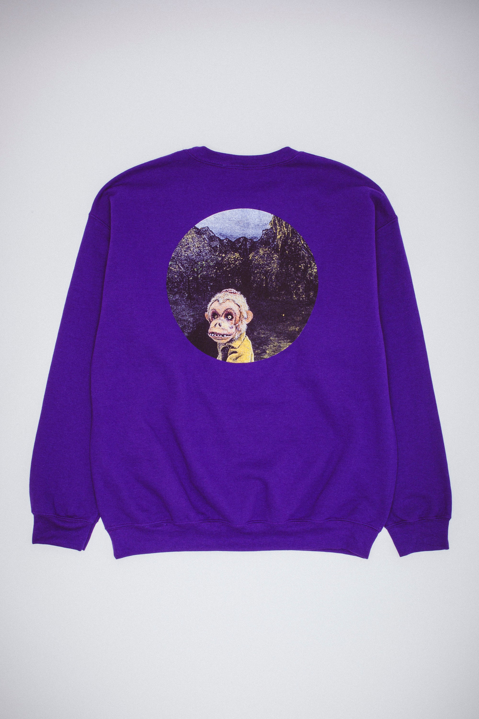 Landscape Brainscape Crewneck – Fucking Awesome
