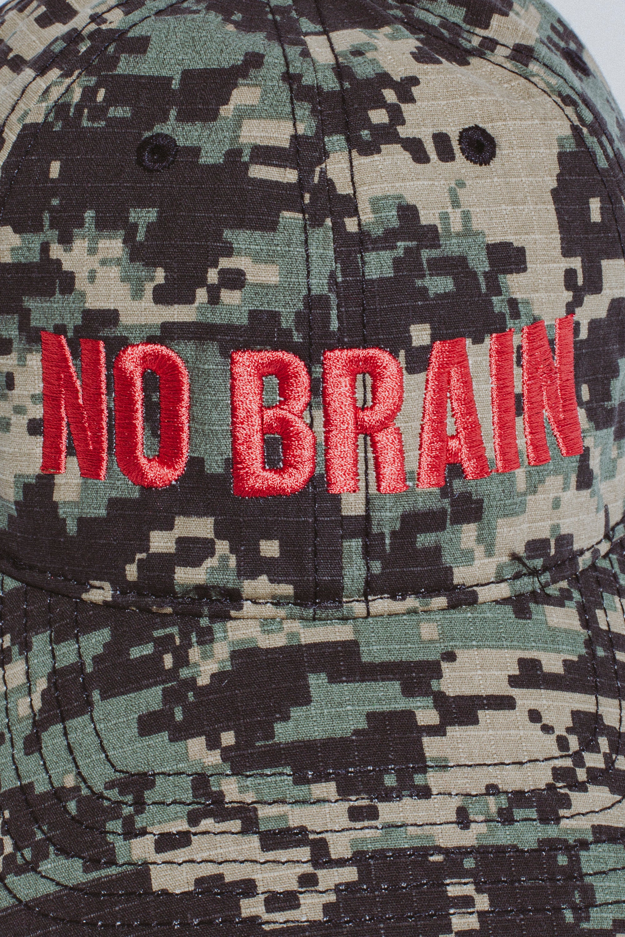 No Brain 6 Panel Hat – Fucking Awesome