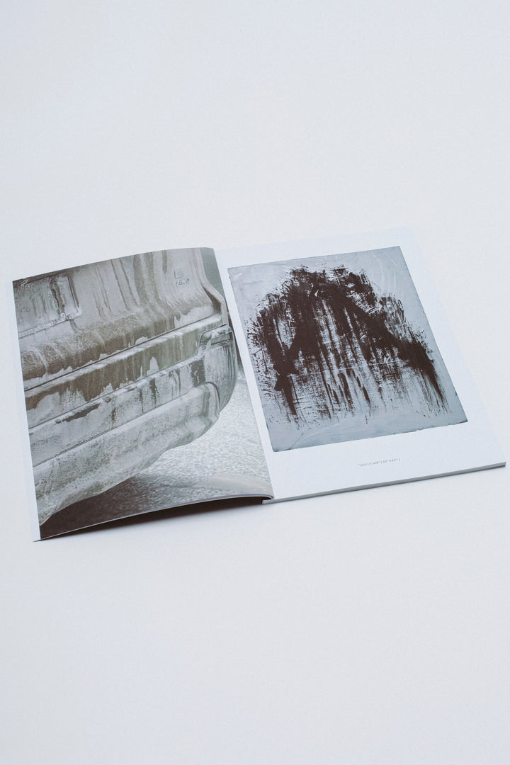 Laand Zine by Nico Jones