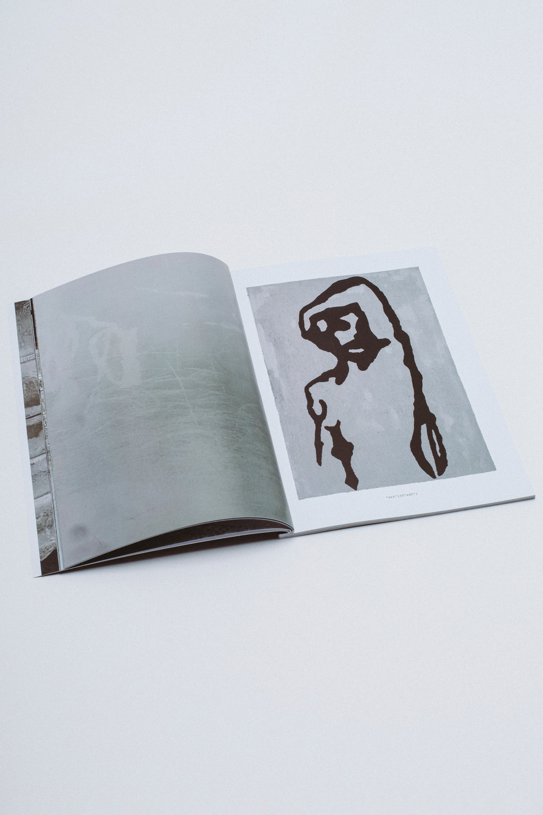 Laand Zine by Nico Jones