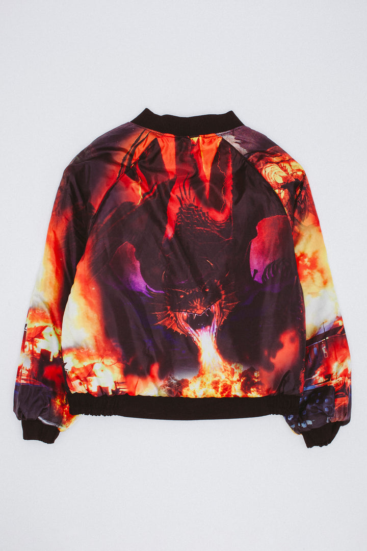 FA Reversible Bomber