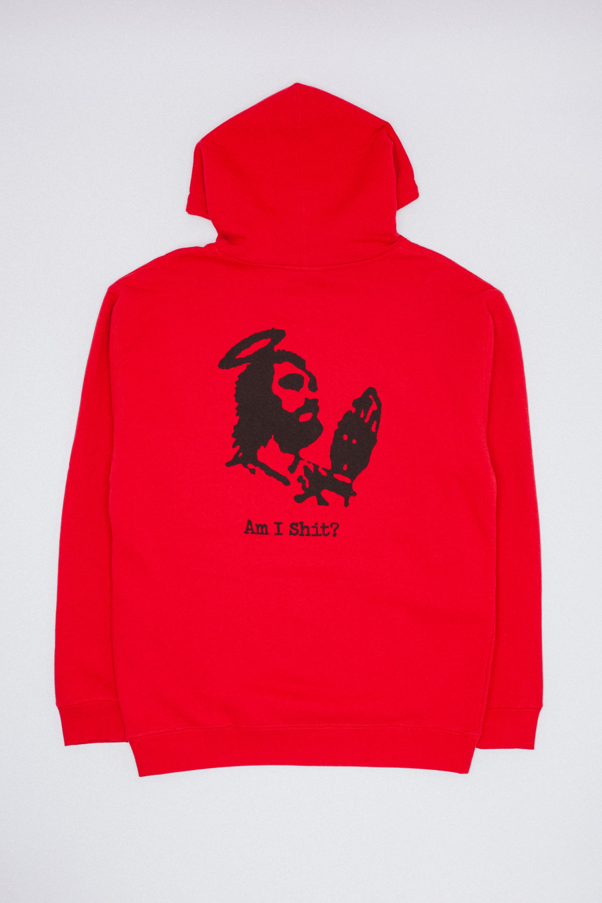 Am I Shit? Hoodie – Fucking Awesome