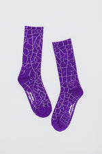 Purple - Thumbnail
