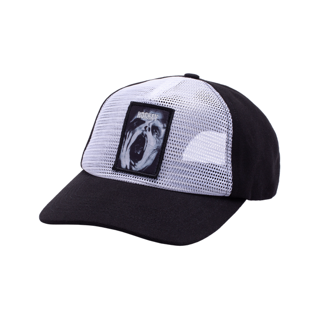 Altered States Reverse Trucker Hat