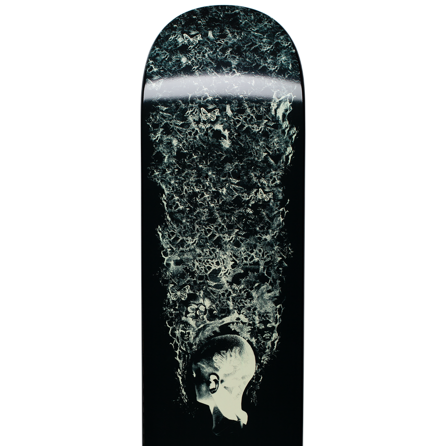 Kevin Rodrigues Nest